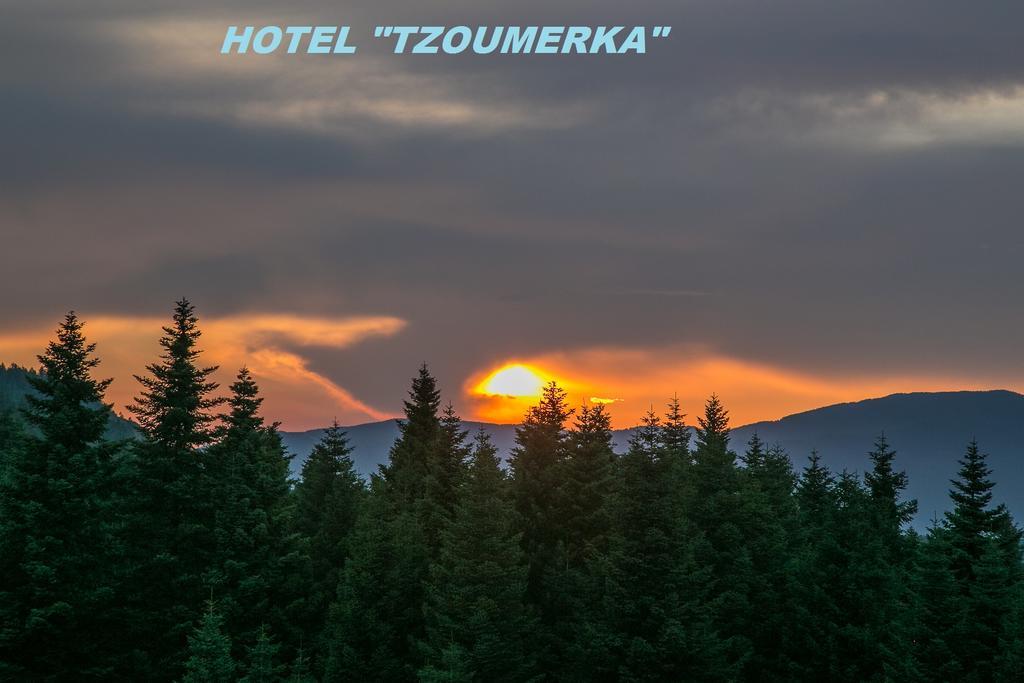 Hotel Tzoumerka 프라만타 외부 사진